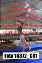 16872_CS1-