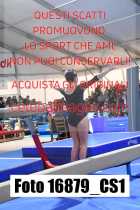 16879_CS1-