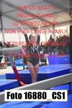 16880_CS1-