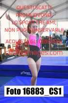 16883_CS1-