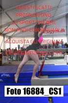 16884_CS1-