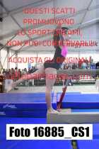 16885_CS1-