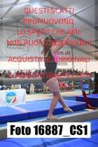 16887_CS1-