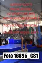 16895_CS1-