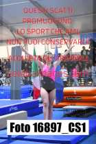 16897_CS1-