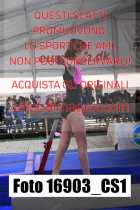 16903_CS1-