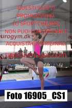 16905_CS1-