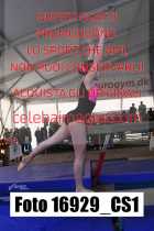 16929_CS1-