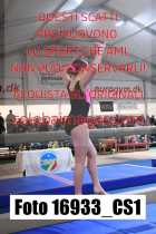 16933_CS1-