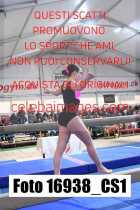 16938_CS1-