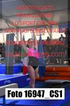 16947_CS1-