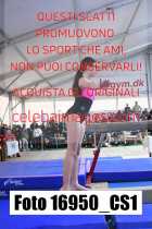 16950_CS1-