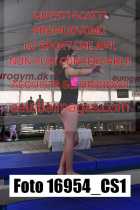 16954_CS1-