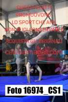 16974_CS1-