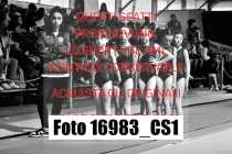 16983_CS1-