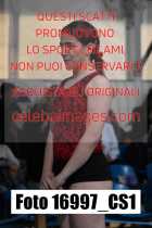 16997_CS1-