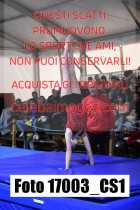 17003_CS1-