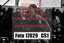 17029_CS1-