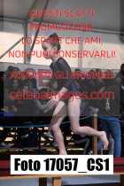 17057_CS1-
