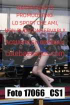 17066_CS1-
