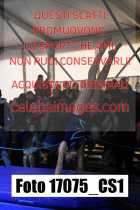17075_CS1-