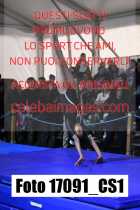 17091_CS1-