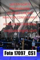 17097_CS1-