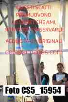 CS5_15954-