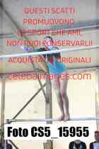CS5_15955-