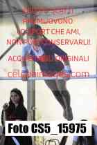 CS5_15975-