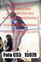 CS5_15979-