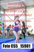 CS5_15981-