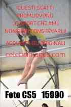 CS5_15990-