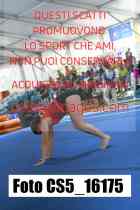 CS5_16175-