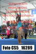 CS5_16289-