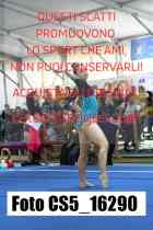 CS5_16290-