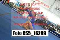 CS5_16299-
