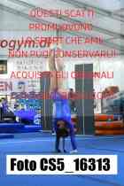 CS5_16313-