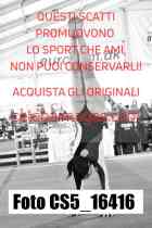 CS5_16416-