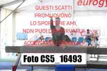 CS5_16493-