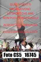 CS5_16745-
