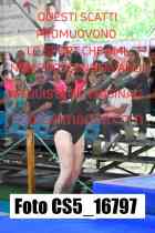 CS5_16797-