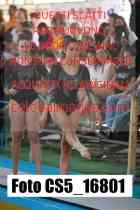 CS5_16801-