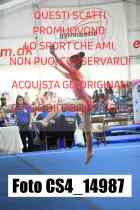 CS4_14987-