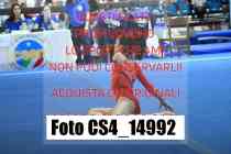 CS4_14992-