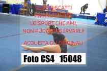 CS4_15048-