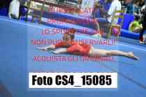 CS4_15085-