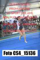 CS4_15136-