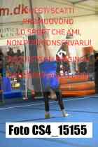 CS4_15155-