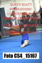 CS4_15167-